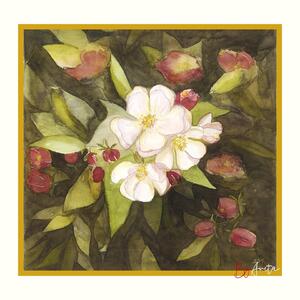 Almafa virága - akvarell