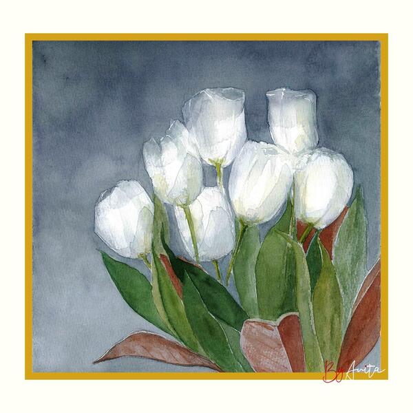 Fehér tulipánok - akvarell