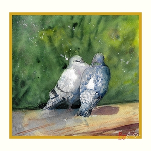 Tere-fere galambok (akvarell)