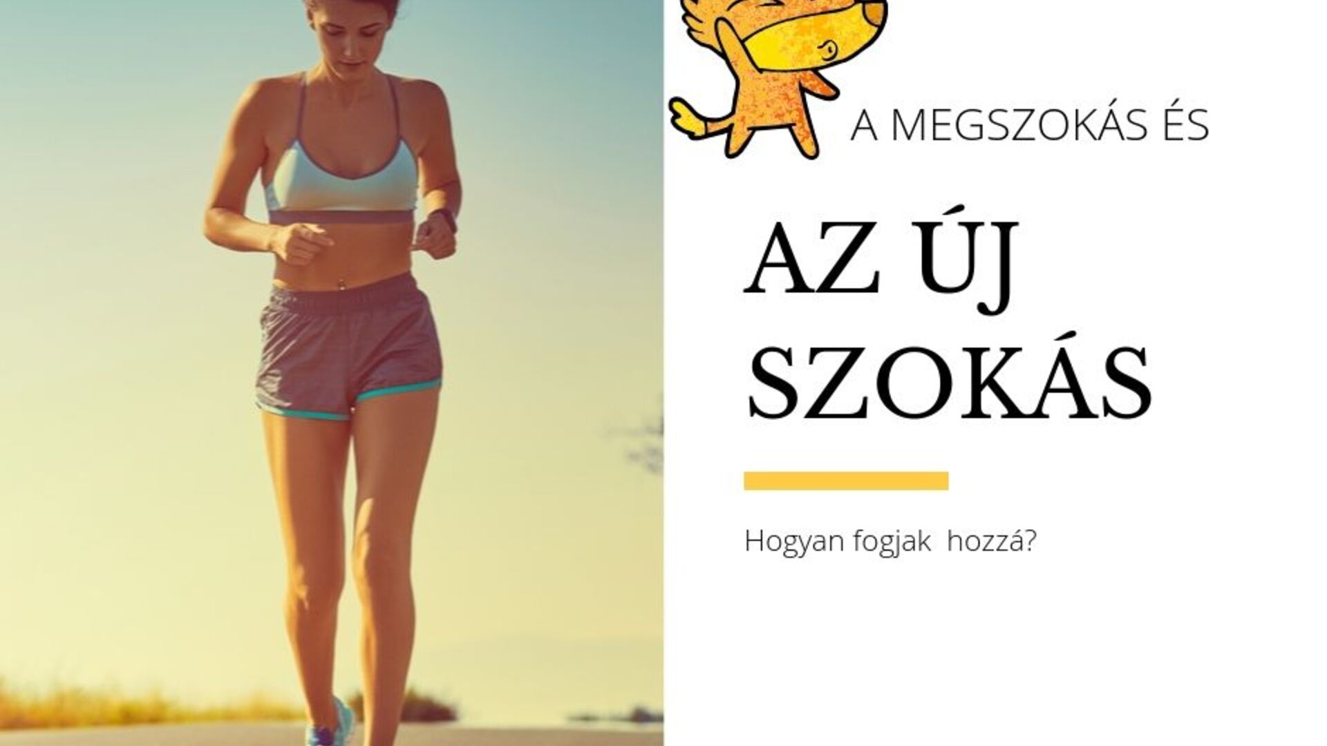 A megszokás és az új szokás